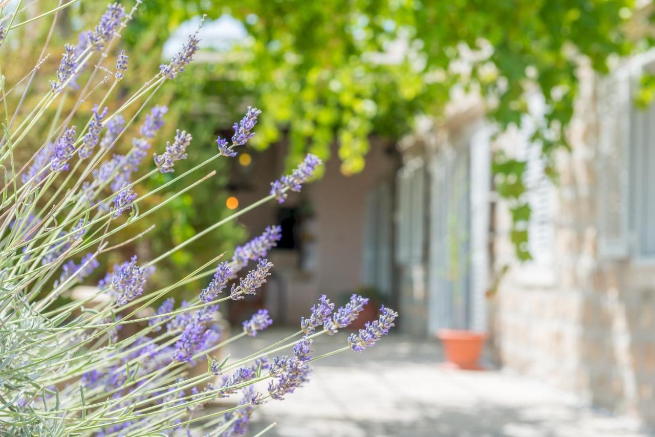 Apartman Midsummer Night's Dream